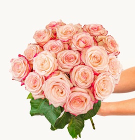 A stunning bouquet of peach and pink roses held gently, showcasing elegance and beauty.