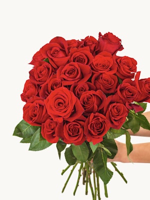 Vibrant bouquet of red roses held by hands, perfect for romantic gestures and celebrations.