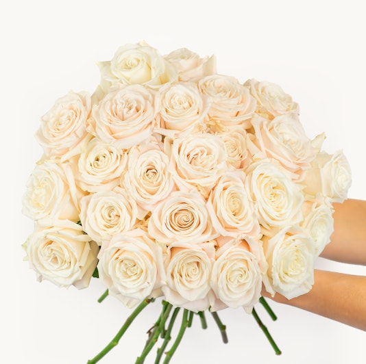 A stunning bouquet of ivory roses held gracefully, perfect for elegant occasions.