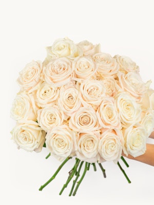 A stunning bouquet of ivory roses held gracefully, perfect for elegant occasions.