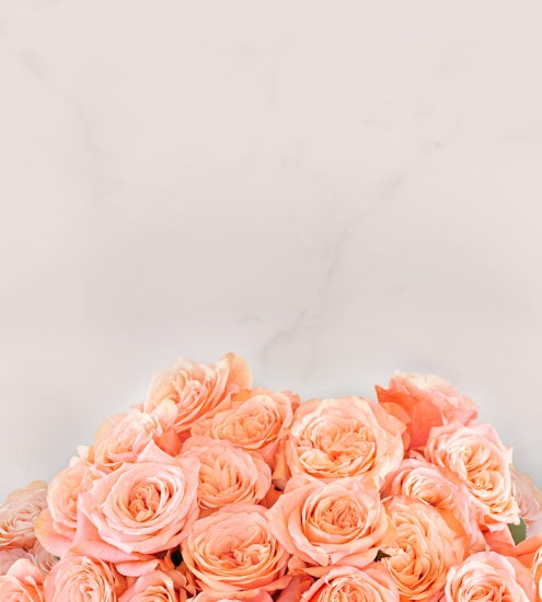 Delicate peach roses in a lush arrangement, perfect for elegant occasions.