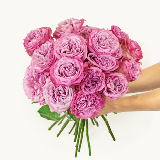 A vibrant bouquet of pink roses, beautifully arranged and freshly picked, held by hands.