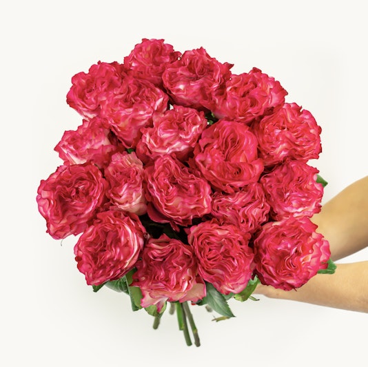 Vibrant bouquet of pink roses held delicately, showcasing lush petals and rich color.