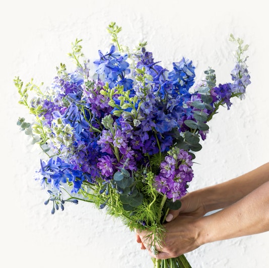 Vibrant bouquet of purple and blue flowers, elegantly held against a light backdrop.