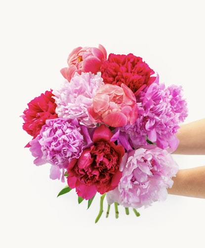 Vibrant bouquet of peonies in shades of pink and red, perfect for celebrations.