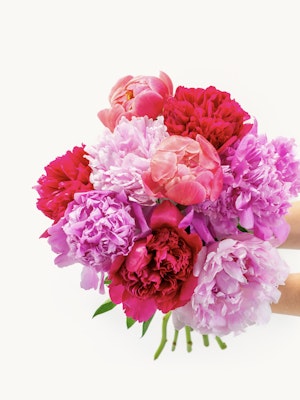 Vibrant bouquet of peonies in shades of pink and red, perfect for celebrations.