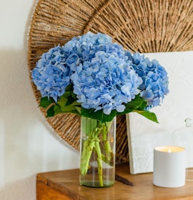 A vibrant arrangement of blue hydrangeas in a glass vase on a wooden table.