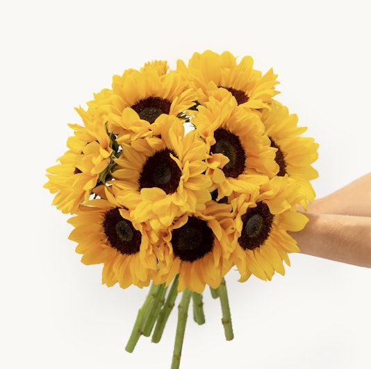 Vibrant sunflower bouquet held in a hand, showcasing bright yellow petals and rich brown centers.