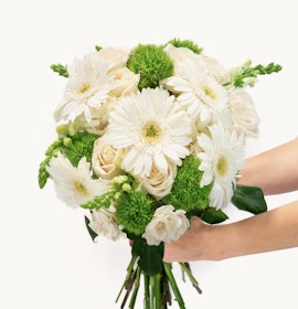 Delicate white gerbera daisies and soft roses in a lush green bouquet held gracefully.