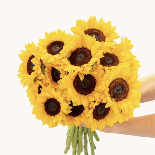 A bright sunflower bouquet with fresh, vibrant yellow blooms and lush greenery.