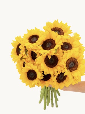 A bright sunflower bouquet with fresh, vibrant yellow blooms and lush greenery.
