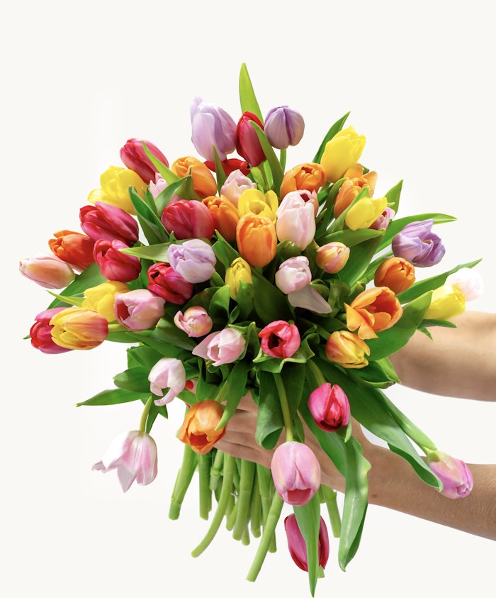 A vibrant tulip bouquet with bright, fresh blooms in various colors, arranged beautifully.