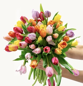 A vibrant tulip bouquet with bright, fresh blooms in various colors, arranged beautifully.