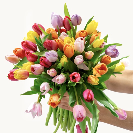 A vibrant tulip bouquet with bright, fresh blooms in various colors, arranged beautifully.