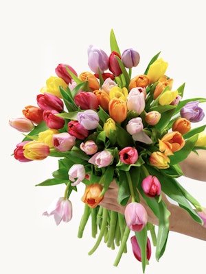 A vibrant tulip bouquet with bright, fresh blooms in various colors, arranged beautifully.