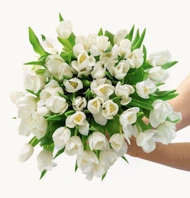 Elegant bouquet of white tulips with lush green leaves, perfect for any occasion.