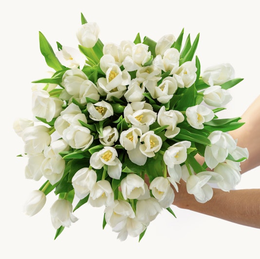 Elegant bouquet of white tulips with lush green leaves, perfect for any occasion.