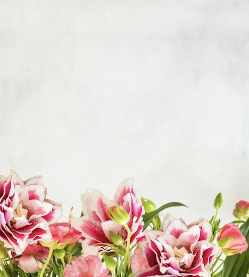 Elegant pink and white flowers arranged artfully, creating a fresh and vibrant floral display.