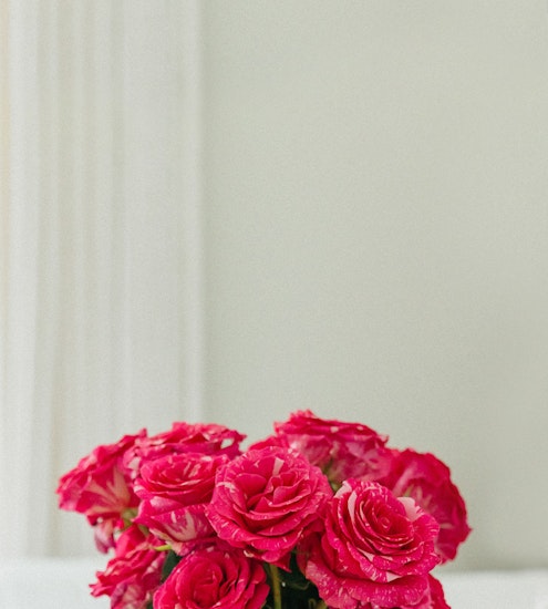 Vibrant pink roses elegantly arranged in a chic floral display, perfect for brightening any space.