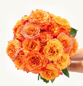 Vibrant orange and peach roses arranged in a stunning bouquet, perfect for celebrations.
