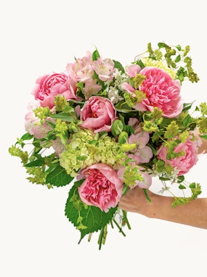 A lush bouquet featuring pink peonies, alstroemeria, and fresh greenery, elegantly held.