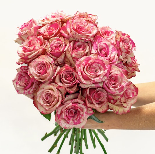 A stunning bouquet of pink and cream roses with delicate striped petals, perfect for gifting.